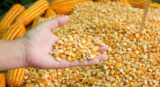 Хороший поставщик семян