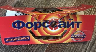 ловушка для тараканов мой опыт