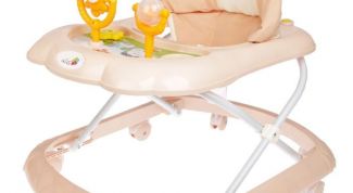 Ходунки Alis в использовании