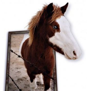 Как сделать трехмерную фотографию