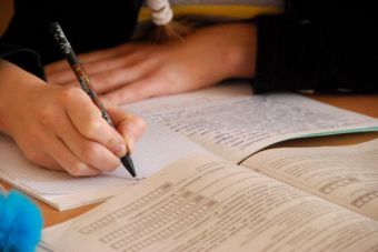 Что такое сказуемое и подлежащее