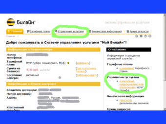 Код сети билайн при включении телефона