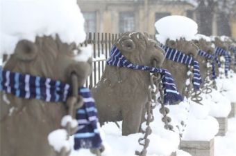 Как завязывать футбольный шарф