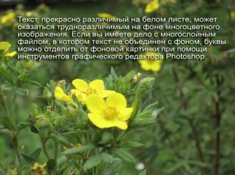 Как выделить текст на изображении