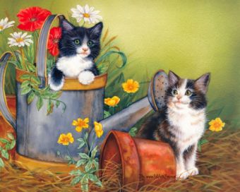 Как нарисовать глаза котенка