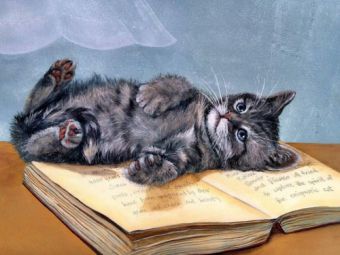 Как нарисовать глаза котенка