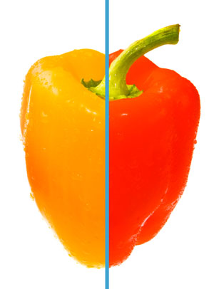 Как изменить цвет в фотошопе