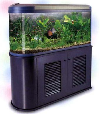 менять воду в аквариуме