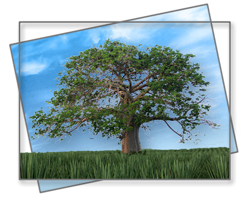 Как объединить слои в фотошопе