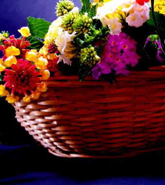 Плетеная корзина незаменима во время сбора урожая