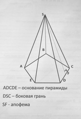 В натуральную величину на чертеже пирамиды проецируется