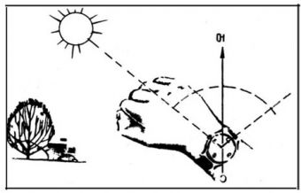 Как определить, где север, юг, запад и восток
