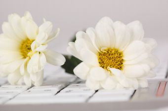 Как ввести пароль без клавиатуры