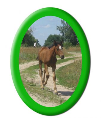 Как сделать фотографии овальными