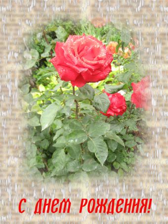 Как вставить картинку в слой