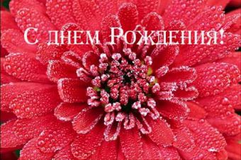 Как отправить поздравление по почте