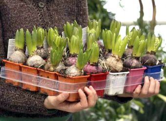 Как открыть садовый магазин