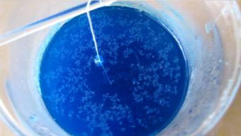 http://chemistry-chemists.com/Video/copper-sulfate-crystals.html