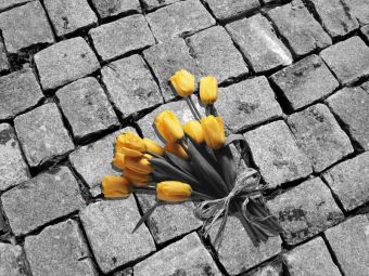 Как на черно-белой фотографии оставить цветную деталь