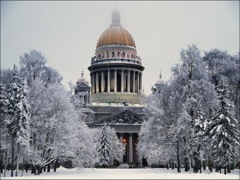 Купить обои в питере