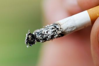 как узнать курит коноплю или нет