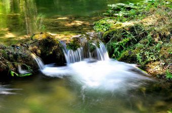 Как в лесу найти воду