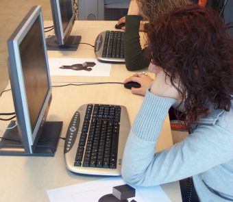 Кто занимается разработкой программного обеспечения