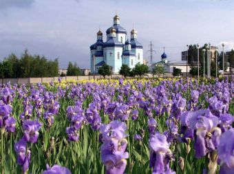 Как добраться до Кривого Рога