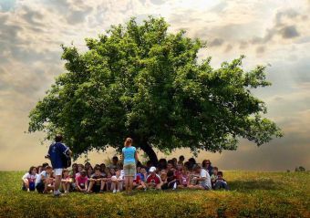 Как устроится вожатым