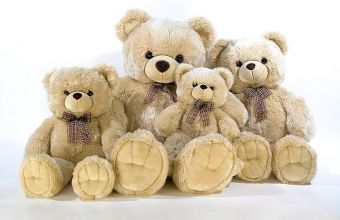 Как организовать бизнес по продаже мягких игрушек 