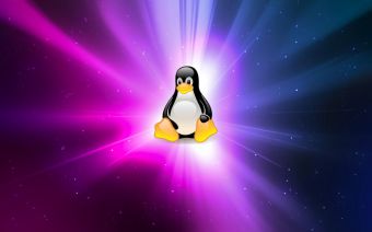 Птица изображена на логотипе linux как называется