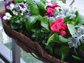 Короб для цветов на балкон