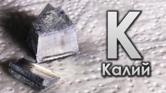 Характеристика и строение калия
