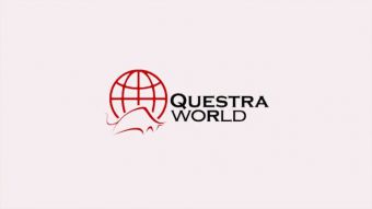 Questra World: отзывы 