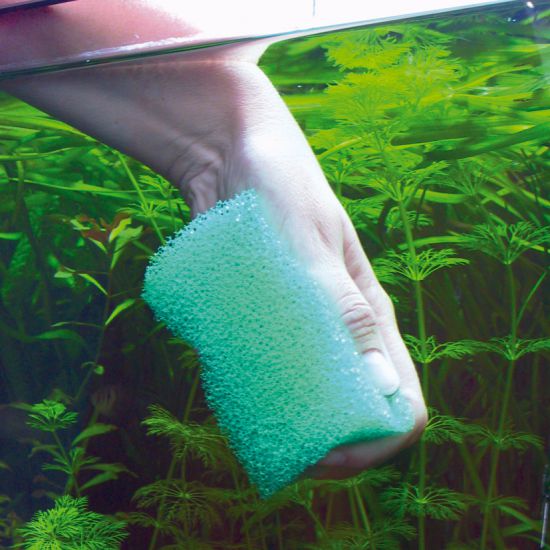 как отмыть стекла в аквариуме
