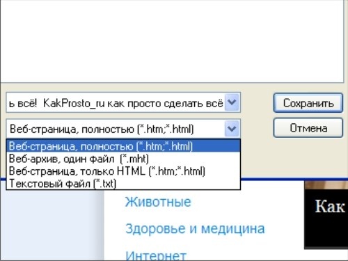 Как скопировать веб страницу полностью с картинками