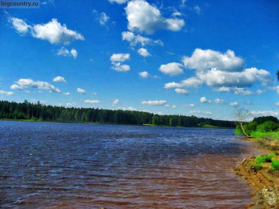 Природное сообщество поле картинки