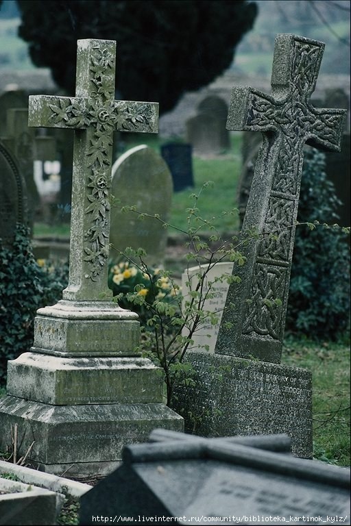 Найти на кладбище похороненного человека