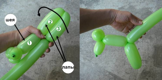 Как сделать из шарика собачку пошаговая инструкция картинка