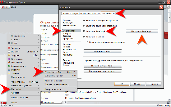 Как включить javascript в опере