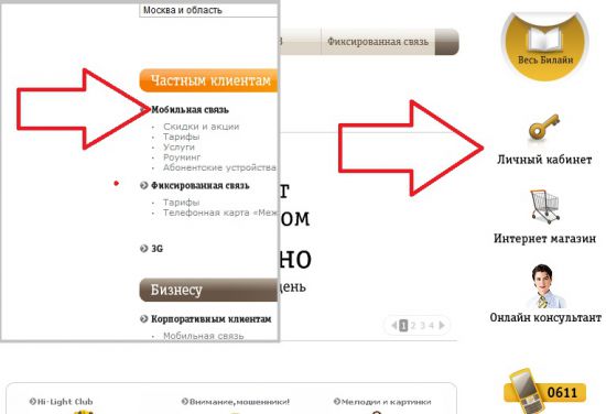 Как узнать баланс интернета билайн на компьютере