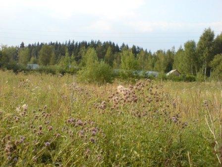 Купить Землю Домодедовский Район Деревня