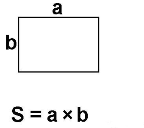Площадь прямоугольника картинка