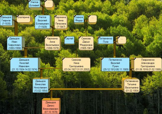 Как рисовать генеалогическое дерево