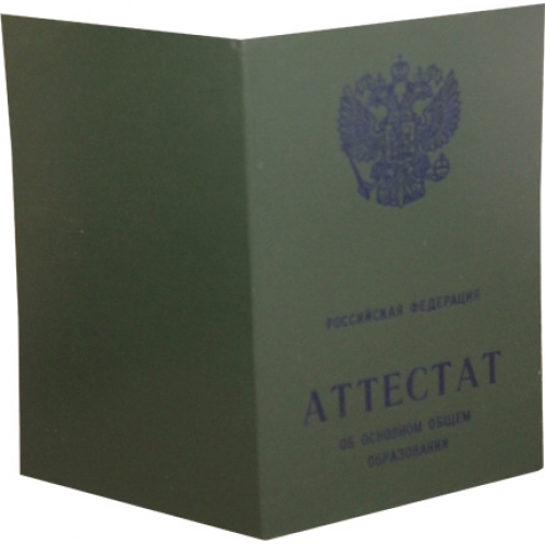 Образование 11 классов. Школьный аттестат. Аттестат школы. Школьный аттестат за 9 класс. Аттестат 2005 года.