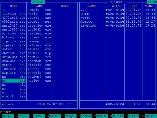 Командный файл имеет в ms dos расширение