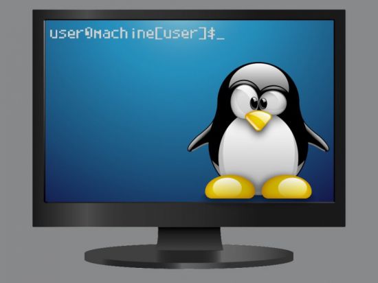 Linux как узнать домашний каталог пользователя