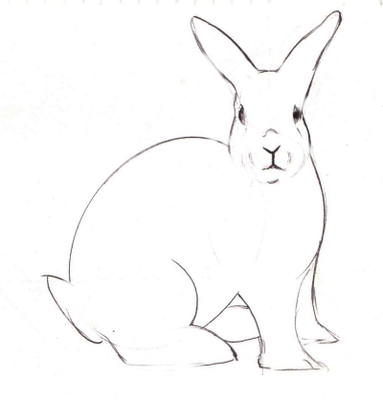 Нарисовать по координатам кролика