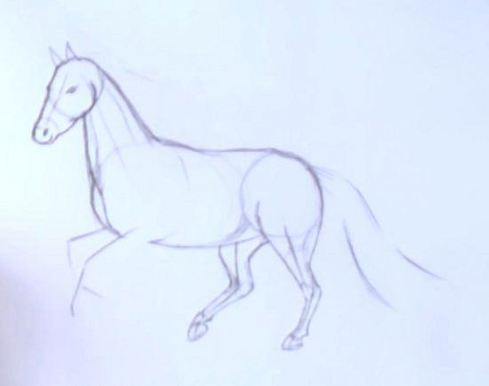 Нарисовать лошадь просто