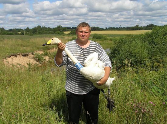 Кто такой орнитолог и чем он занимается изучающий птиц